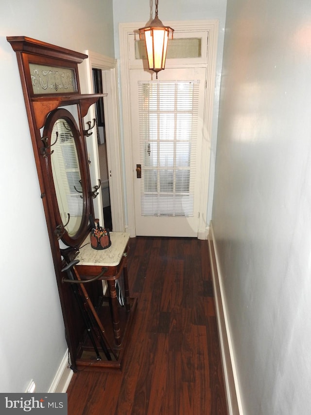 doorway featuring dark hardwood / wood-style floors