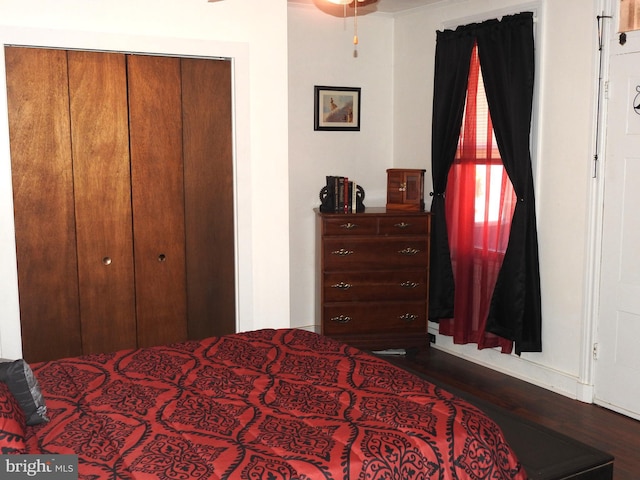 bedroom with a closet and dark hardwood / wood-style flooring