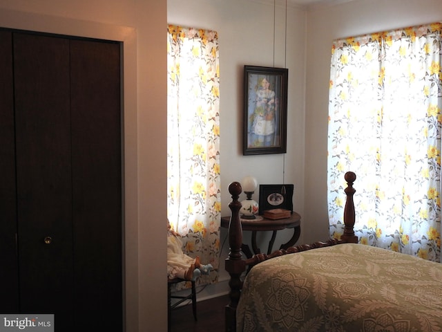 bedroom featuring multiple windows and a closet