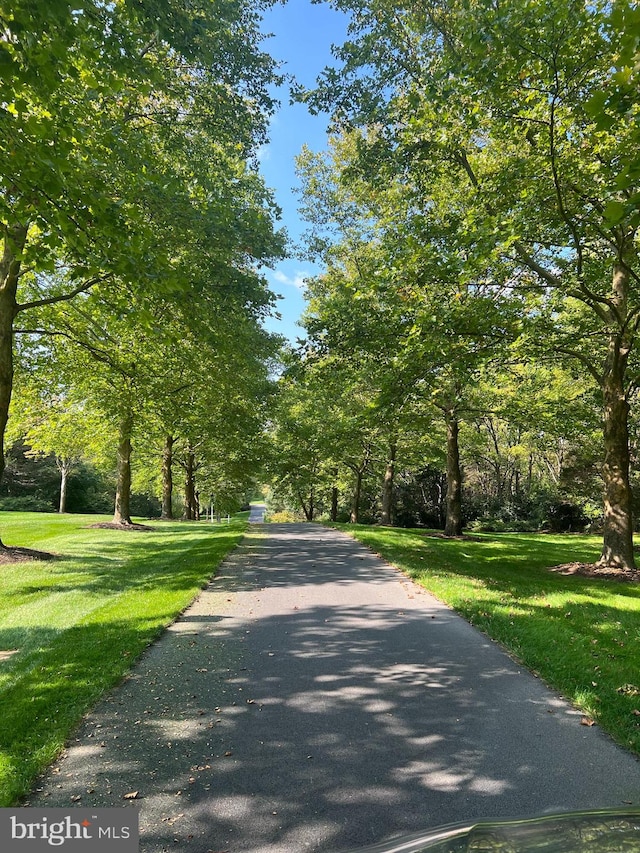 view of road