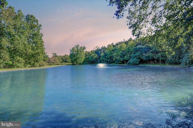 373 Craig Rd, Greencastle, PA 17225 - water view with a wooded view