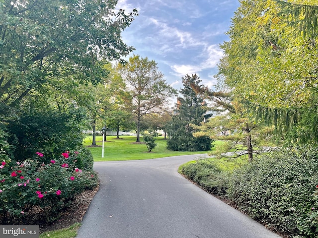 373 Craig Rd, Greencastle, PA 17225 - view of community with a yard and driveway