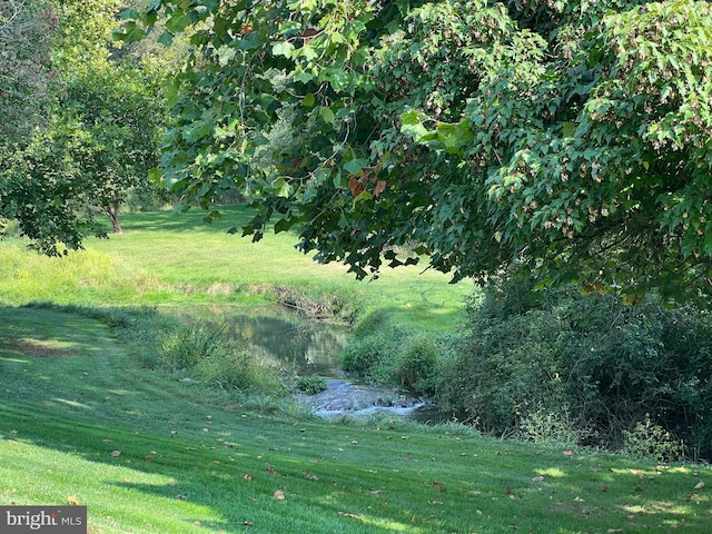 view of local wilderness featuring a water view