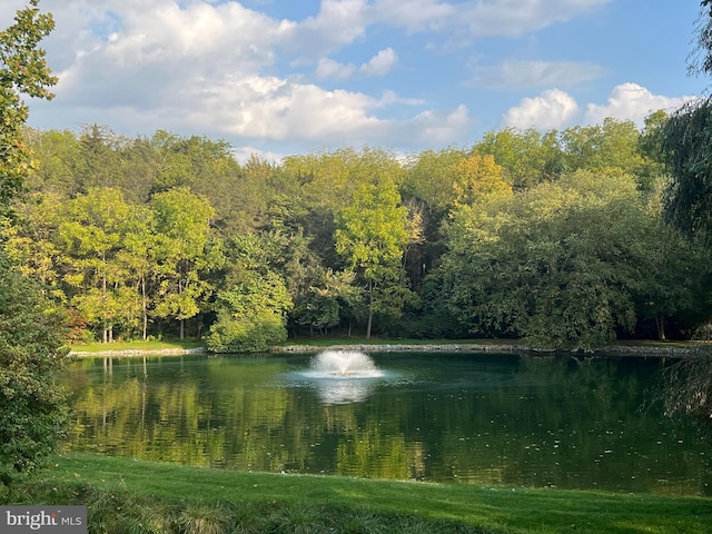 view of water feature