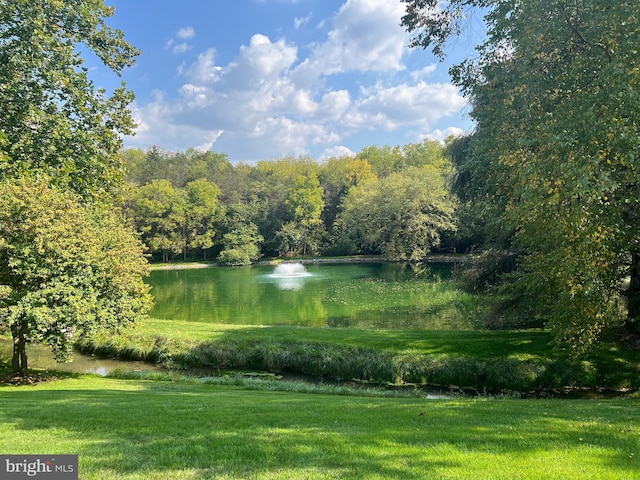 view of water feature