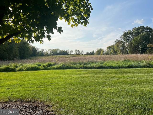 view of yard with a rural view