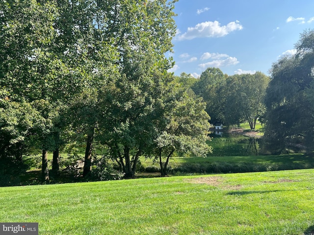 373 Craig Rd, Greencastle, PA 17225 - view of yard