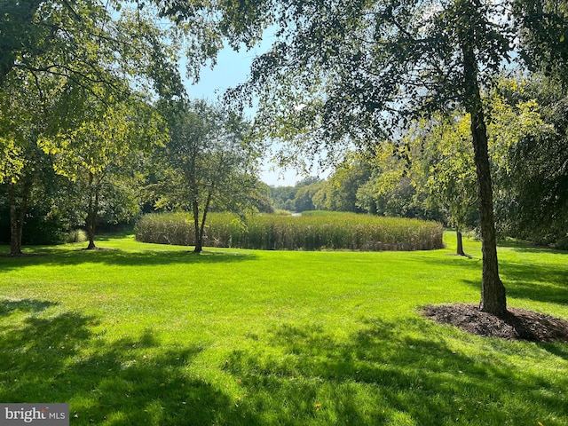 view of community featuring a yard