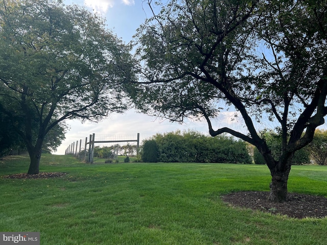 373 Craig Rd, Greencastle, PA 17225 - view of yard