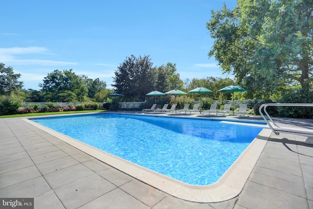 view of swimming pool featuring a patio