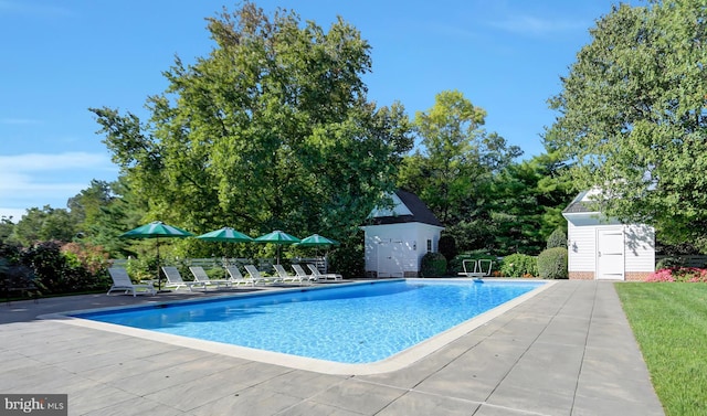 view of pool featuring a patio area and a shed