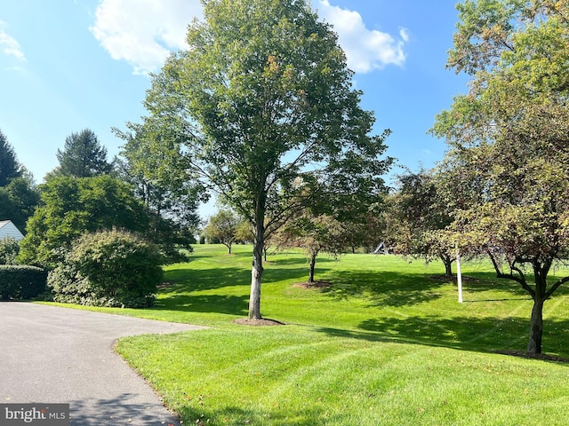 373 Craig Rd, Greencastle, PA 17225 - view of community featuring a yard