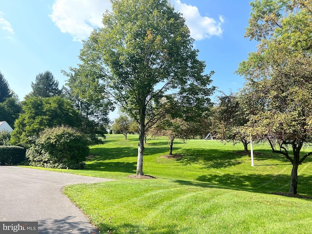 view of property's community featuring a yard