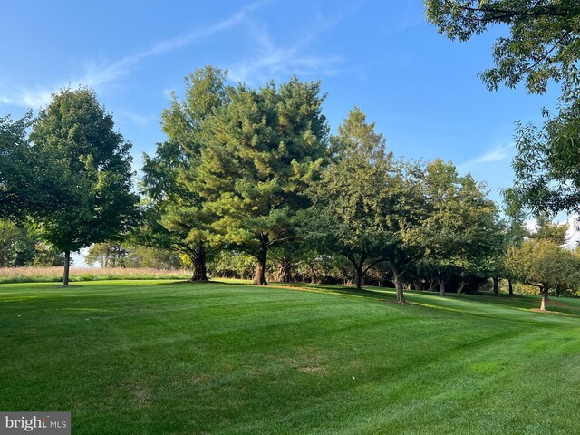373 Craig Rd, Greencastle, PA 17225 - view of property's community featuring a yard