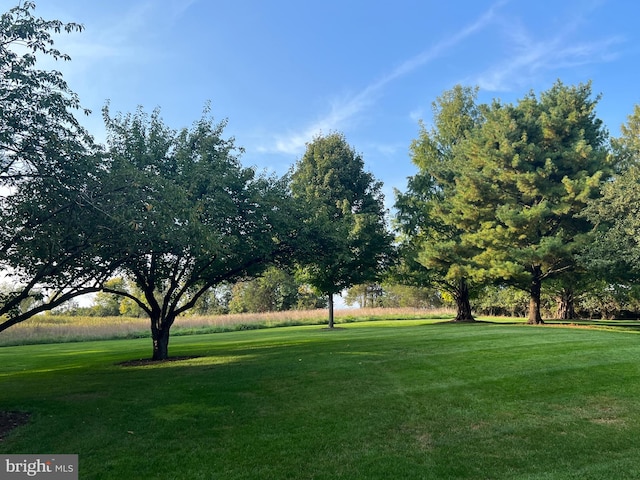 view of community featuring a yard