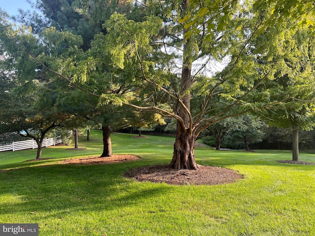 view of community featuring a yard