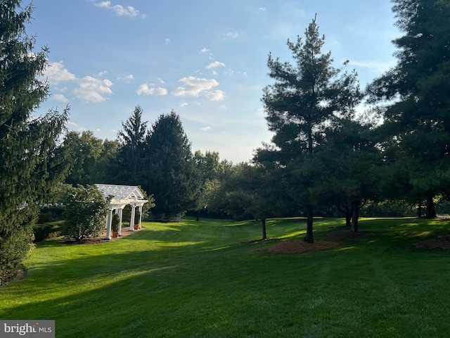 373 Craig Rd, Greencastle, PA 17225 - view of yard