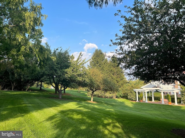 373 Craig Rd, Greencastle, PA 17225 - view of yard with a pergola