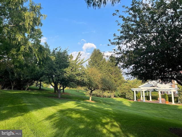 view of yard featuring a pergola