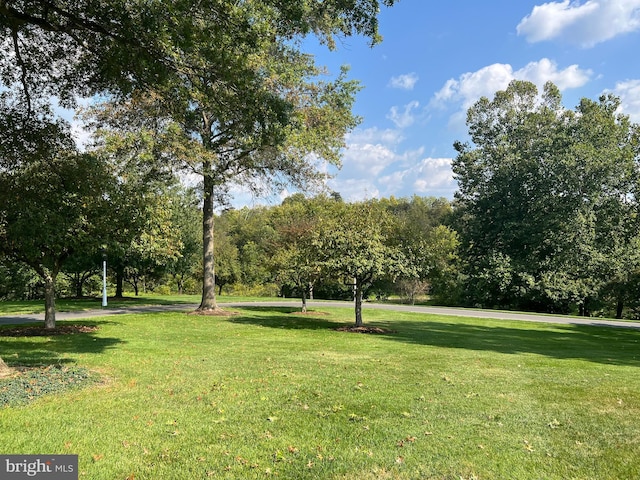 view of home's community with a lawn