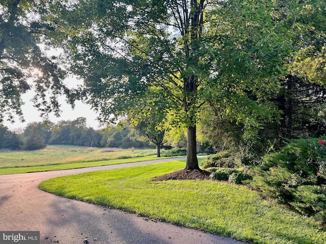 surrounding community featuring a yard