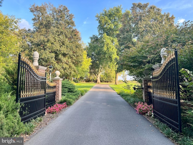 373 Craig Rd, Greencastle, PA 17225 - view of road featuring a gate, a gated entry, and driveway