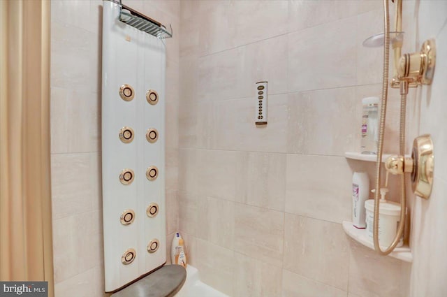 373 Craig Rd, Greencastle, PA 17225 - bathroom featuring a shower