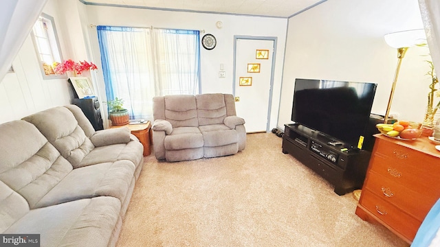 carpeted living room featuring a healthy amount of sunlight