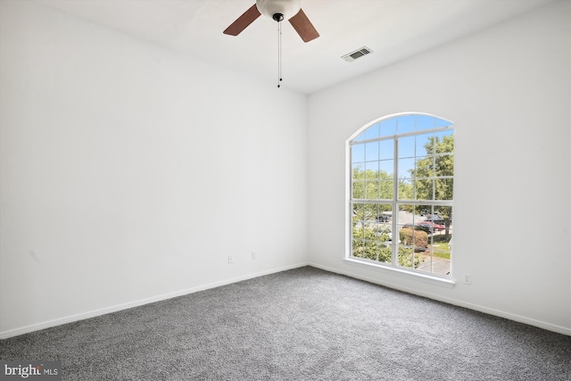 carpeted empty room with a wealth of natural light