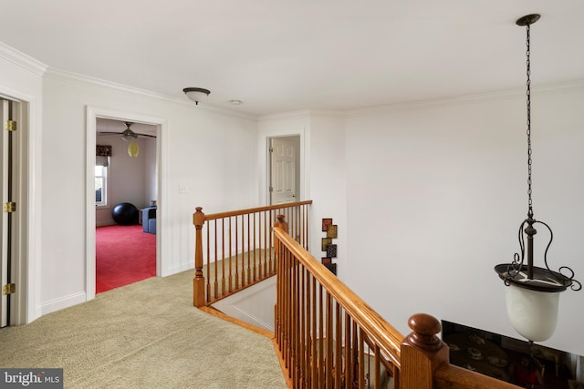 corridor featuring ornamental molding and carpet flooring