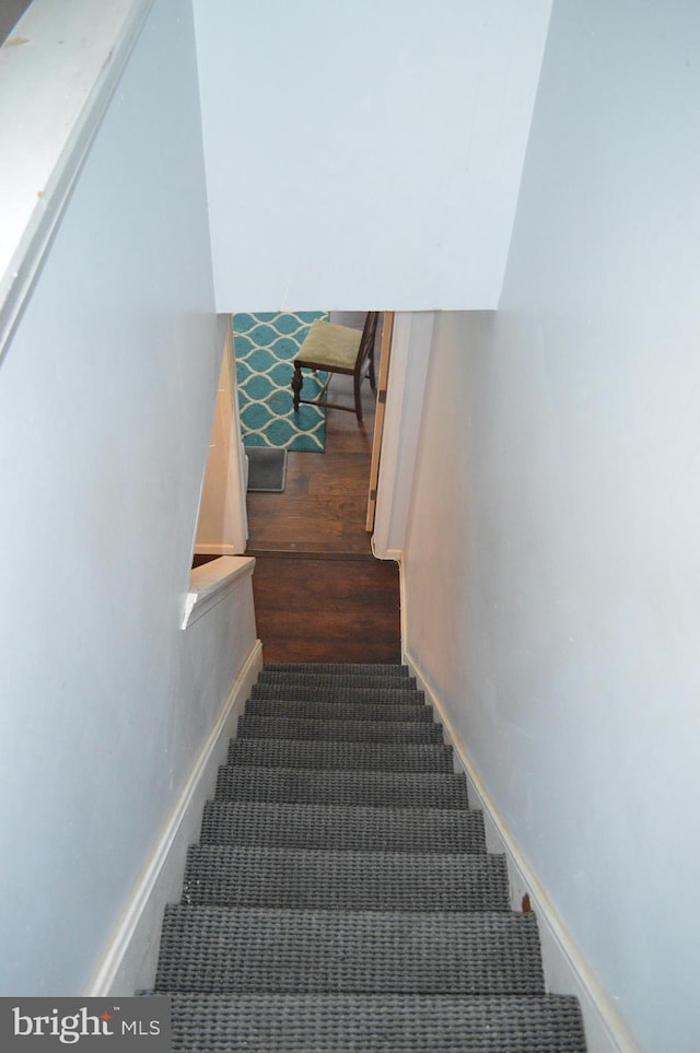 staircase featuring carpet