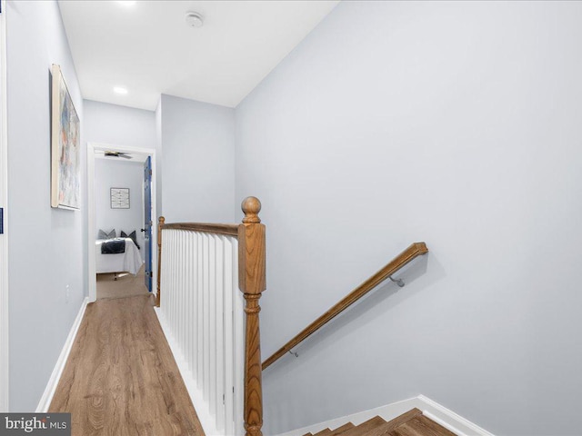 hallway with hardwood / wood-style floors