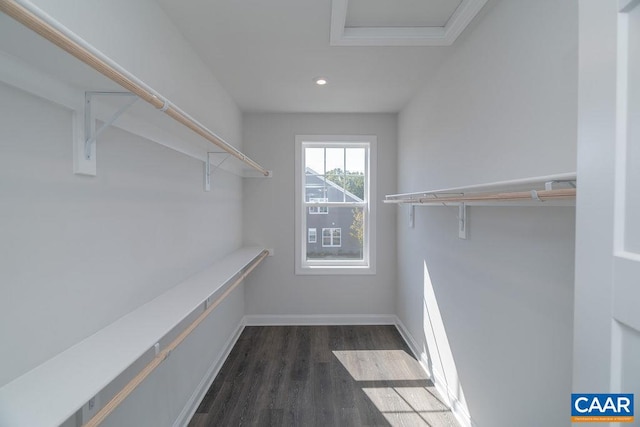 spacious closet with dark hardwood / wood-style floors