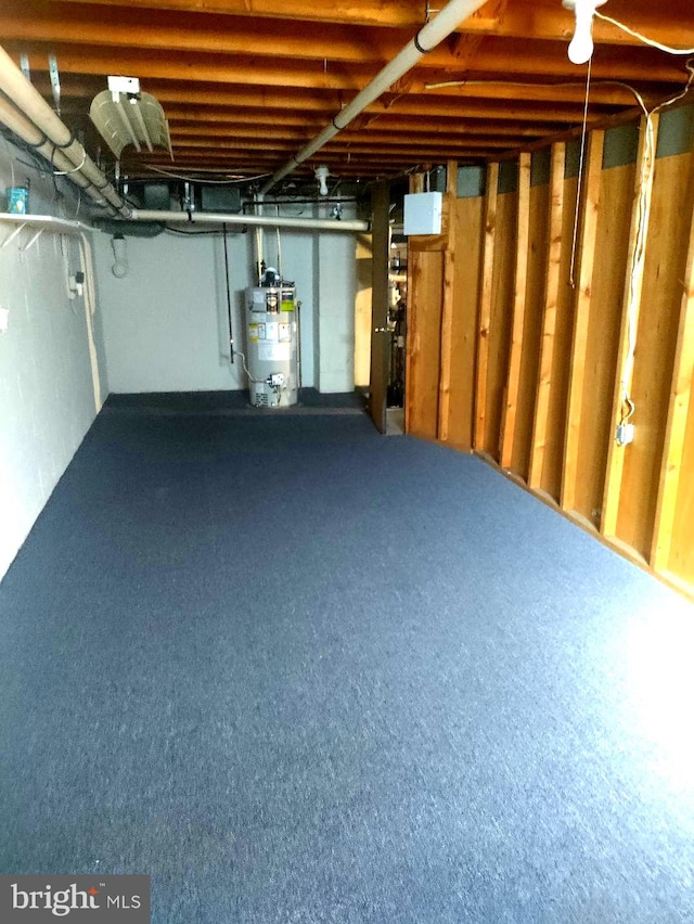 basement with water heater