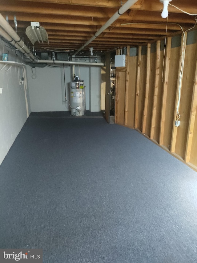 basement featuring gas water heater