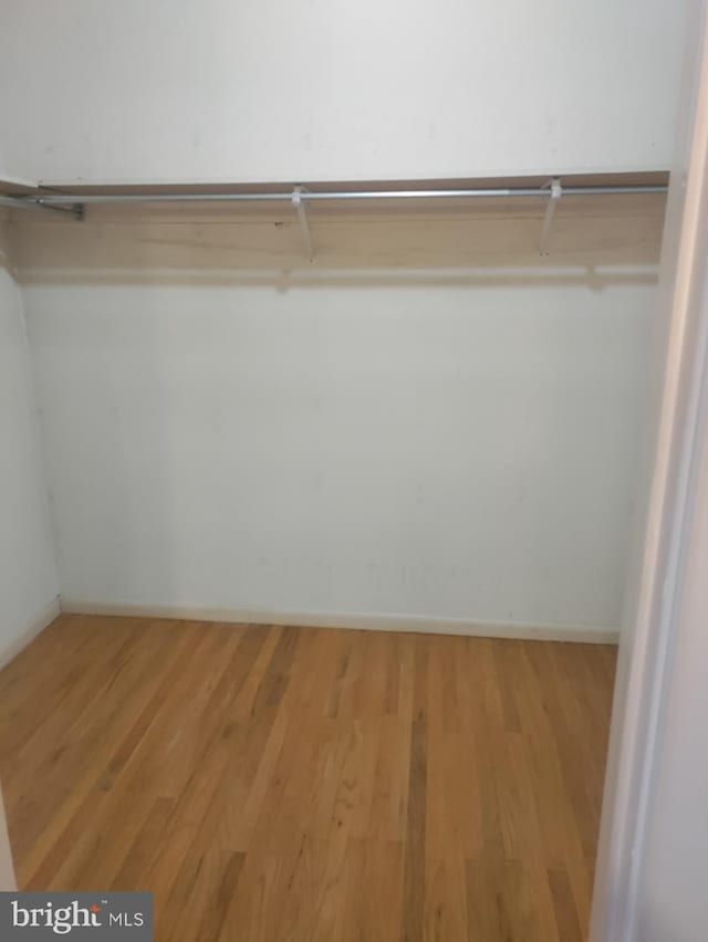 spacious closet with light hardwood / wood-style floors