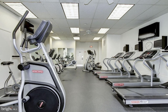 gym with ceiling fan and a drop ceiling