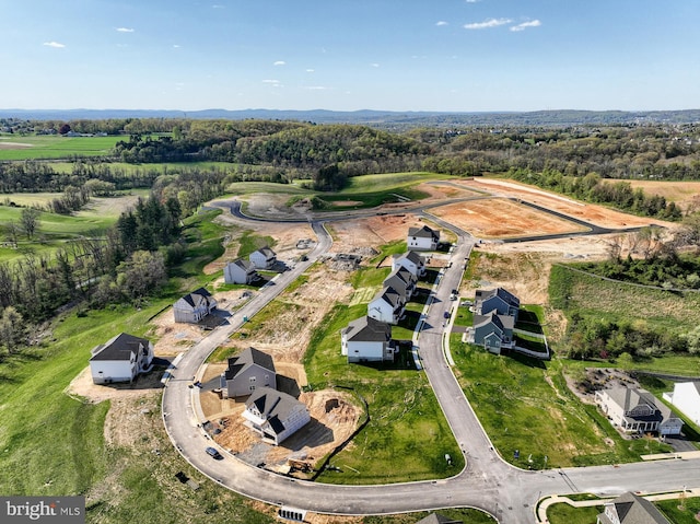 bird's eye view