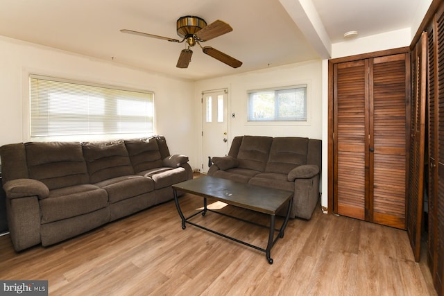 living room with light hardwood / wood-style floors and ceiling fan