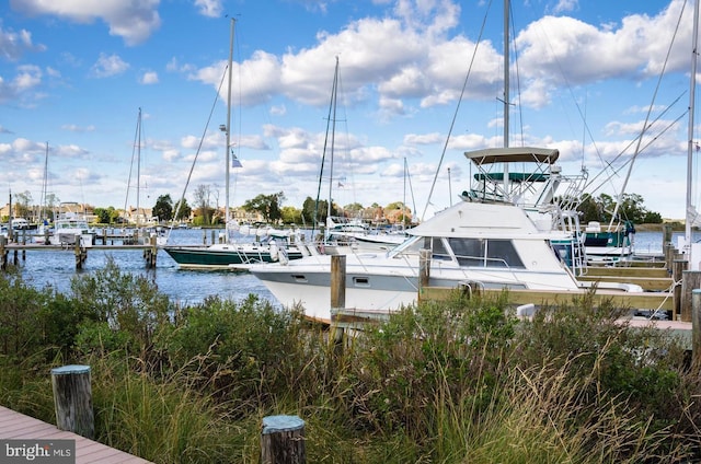 dock area with a water view