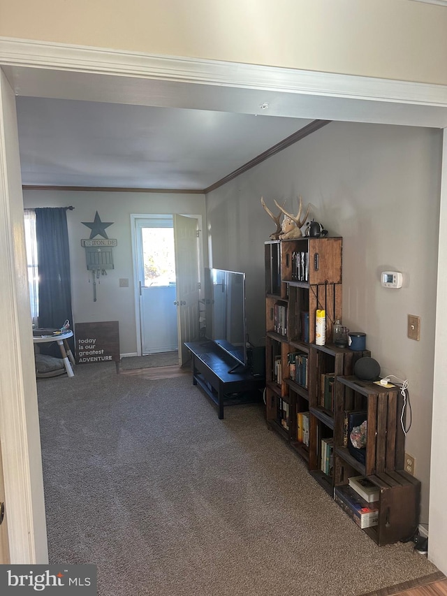 interior space with carpet flooring and crown molding