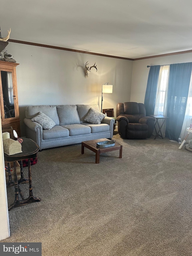 living room featuring ornamental molding and carpet floors