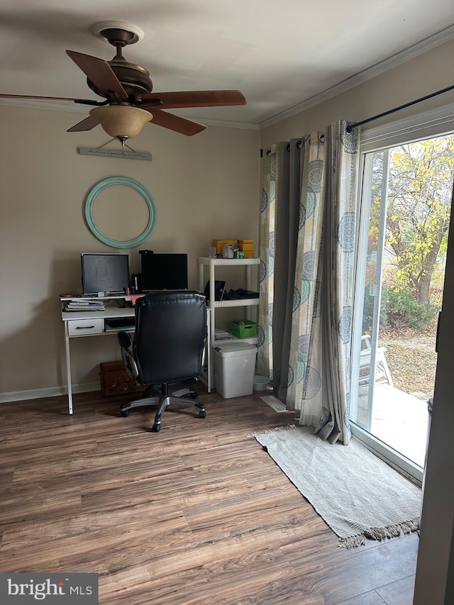 office featuring wood-type flooring, ceiling fan, and crown molding