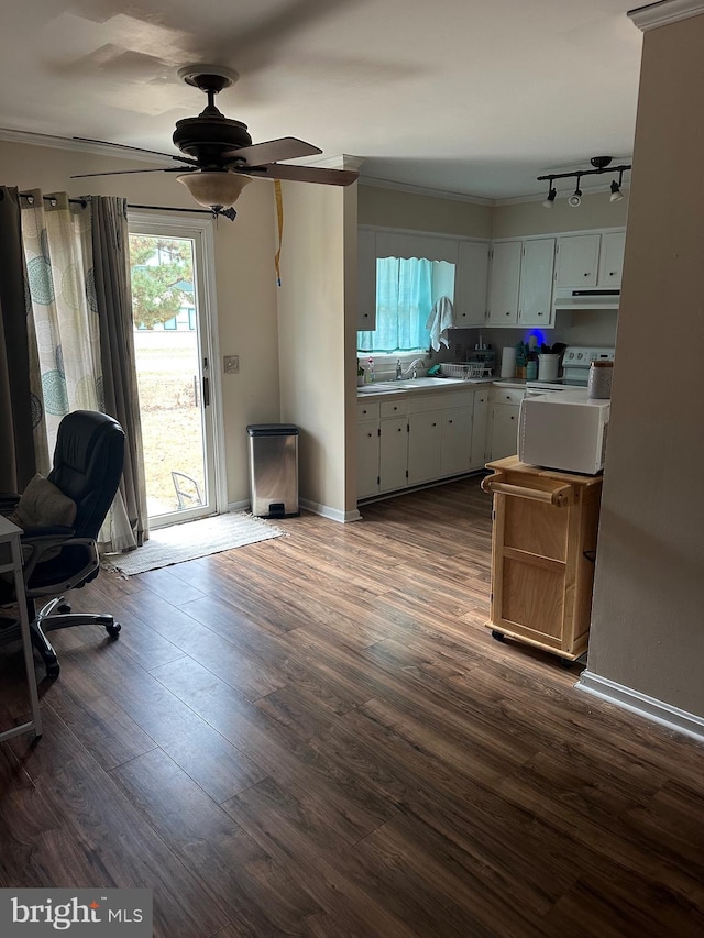 kitchen featuring dark wood-type flooring, ceiling fan, and crown molding