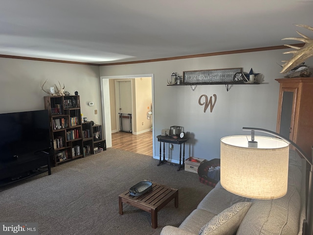 living room with radiator, light carpet, and crown molding