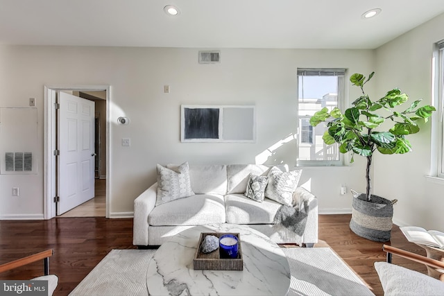 living room featuring hardwood / wood-style floors