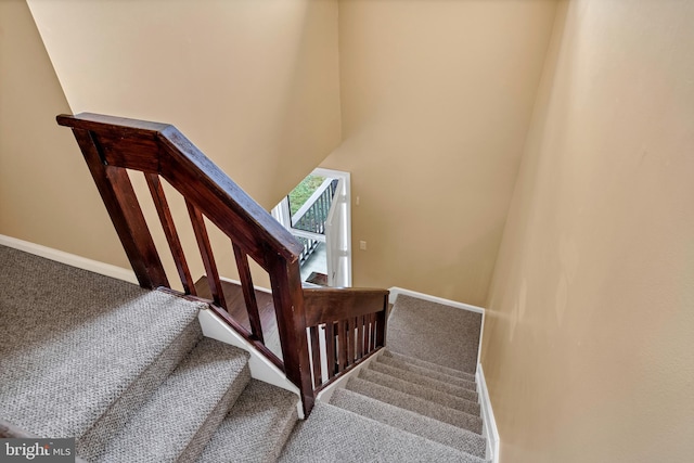 staircase with carpet