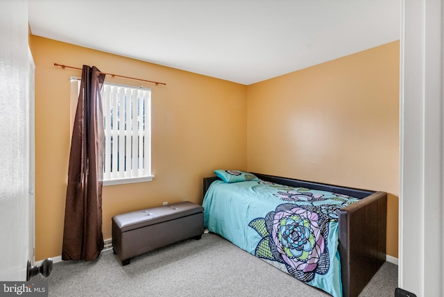 bedroom with carpet flooring