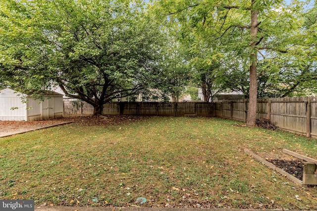 view of yard with a storage unit