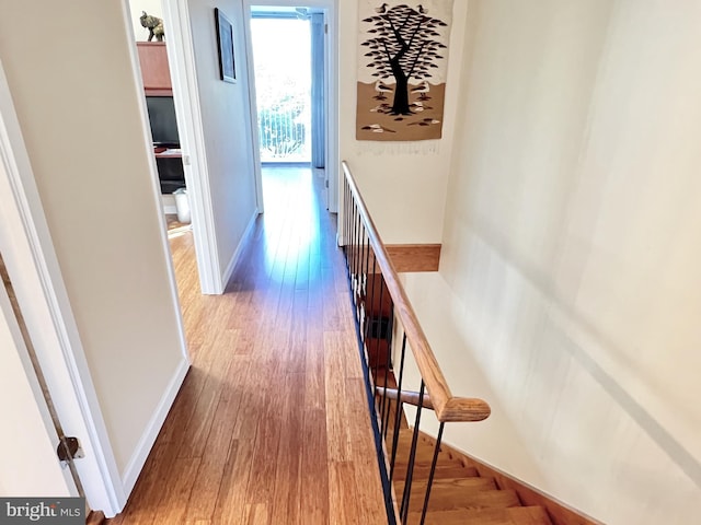 hallway with hardwood / wood-style floors